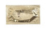 sico seal certificate pearl.jpg